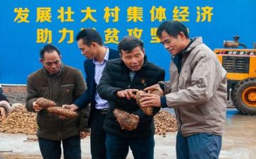 扶贫站工作总结优质8篇