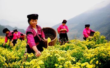 点对点扶贫工作总结精选5篇