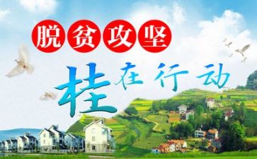 扶贫工作总结计划6篇