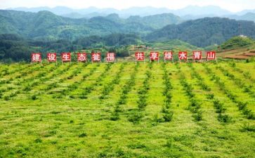 扶贫2023工作总结参考6篇