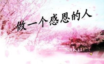 有关感恩的作文400字5篇