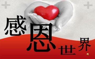 对老师的感恩作文8篇