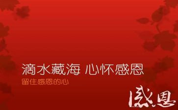 有关感恩的作文600字8篇