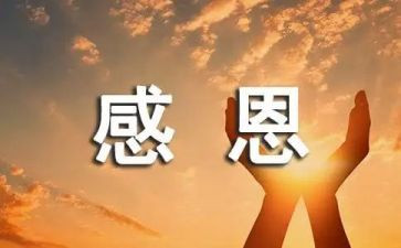 对老师的感恩作文模板8篇