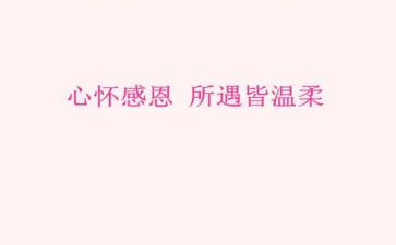 感恩励志演讲稿800字8篇