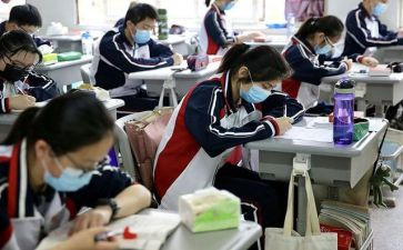 2023高三英语教学计划8篇