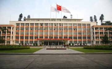 高校教师年度工作总结模板5篇