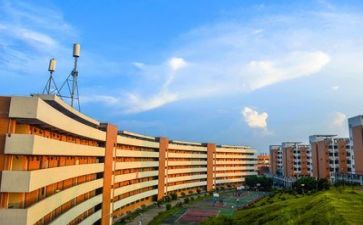 各高校2023工作总结参考6篇
