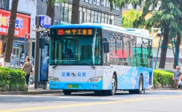 公交司机2024年心得体会5篇