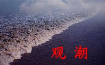 观潮读后感100字7篇