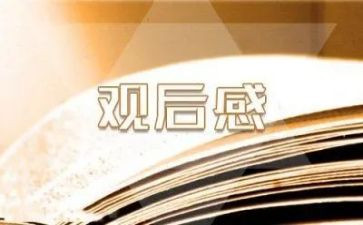 国庆观后感2024100字通用8篇