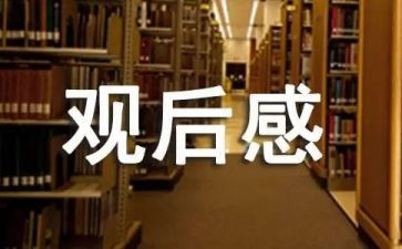 网络教育的观后感8篇