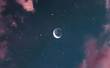 观月观后感100字最新7篇