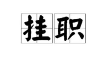 挂职总结心得体会8篇