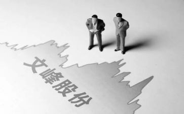 股东出资合同8篇