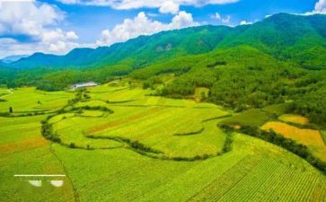 村国土资工作总结优质6篇