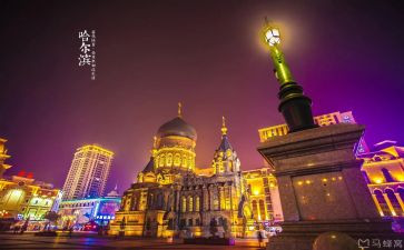 哈尔滨旅游心得体会7篇