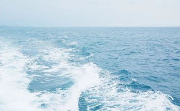 海的颜色读后感6篇