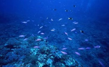 海底两万里6～10读后感优质8篇
