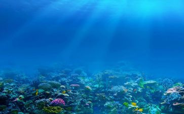 海底两万里读后感100字8篇