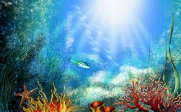 海底两万里读后感400字7篇