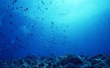 海底两万里心得体会优秀6篇