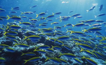 海底两万里6～10读后感最新8篇