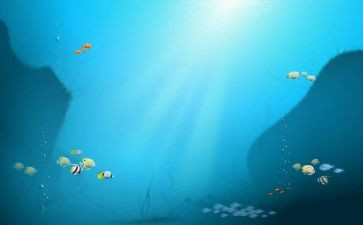 海底2万里的心得5篇