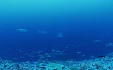 海底两万里6～10读后感精选7篇
