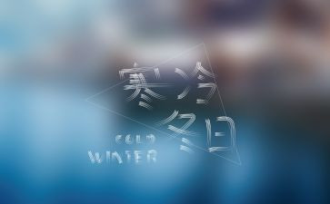 初中寒假社会实践报告6篇