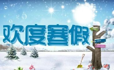 2023年寒假工作总结5篇