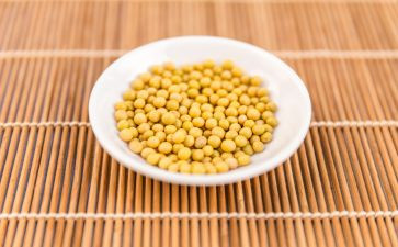 采黄豆作文优质5篇