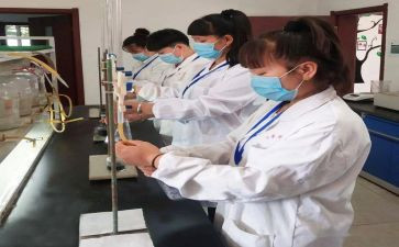 灰化验工作总结参考7篇