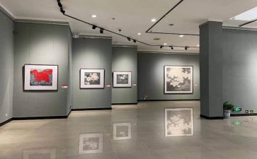 看画展的心得5篇