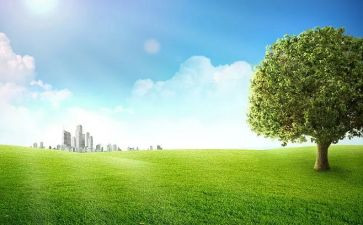 大班安全教育户外安全教案最新5篇