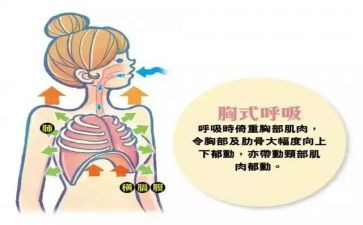 在呼吸科的自我鉴定5篇