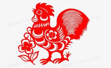 《母鸡》读后感7篇
