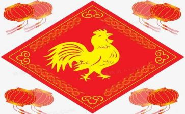 骄傲的鸡作文最新6篇