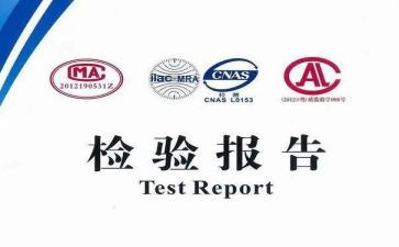 2024检验师工作总结模板7篇