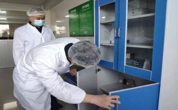 2024检验师工作总结推荐5篇