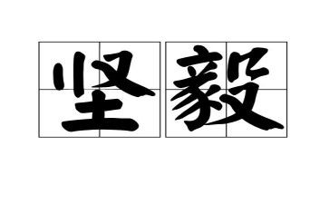 坚毅的作文6篇
