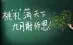 教师述职总结报告优质6篇