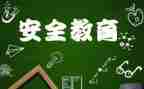安全心得体会优质8篇