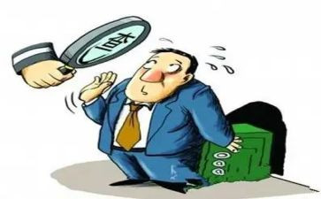 稽查员的工作计划8篇