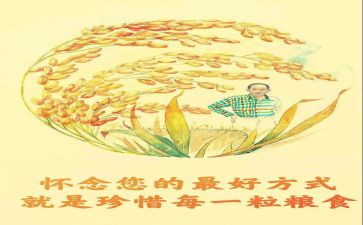 爱粮节粮活动总结6篇