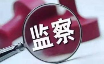大学纪检队工作总结5篇