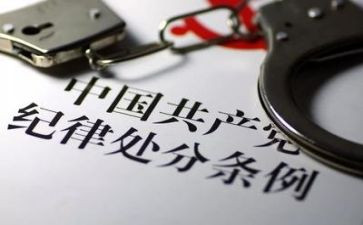 纪律组工作总结模板7篇