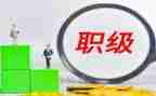 晋升主任医师个人总结6篇