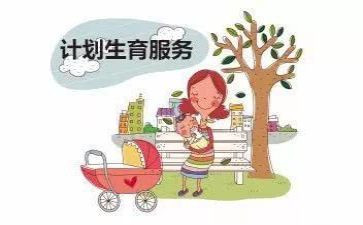 计生工作总结及工作计划8篇