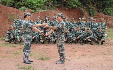 教师暑假集训心得体会6篇